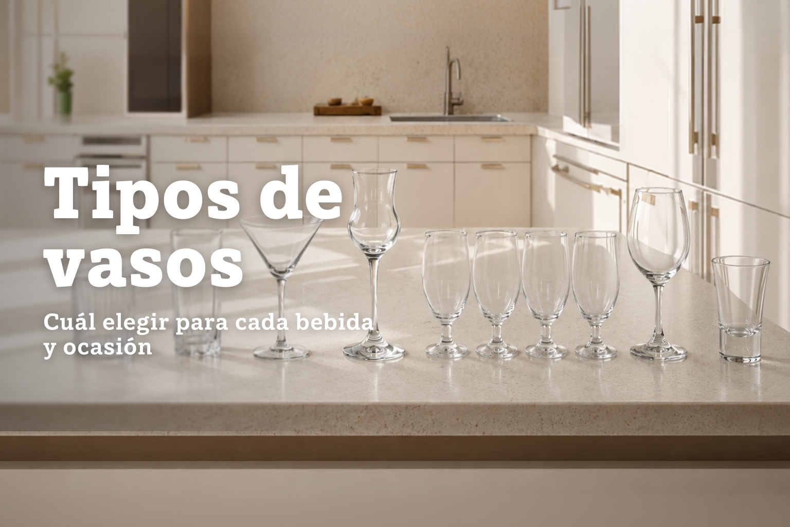 tipos de vasos